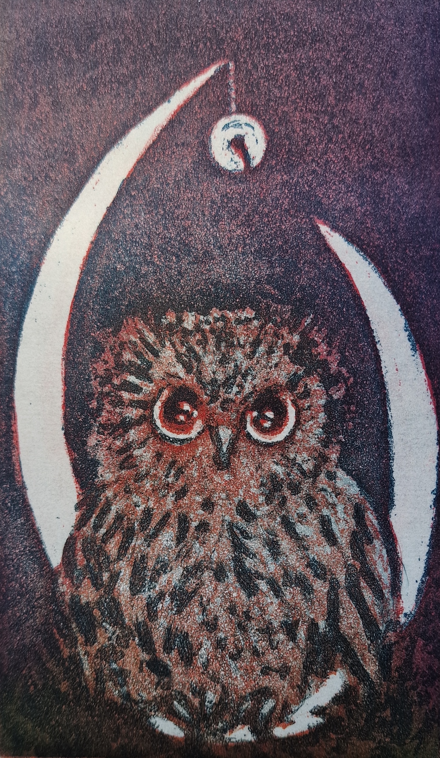 Owl of wisdom